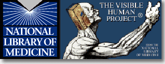 Visual Human Project